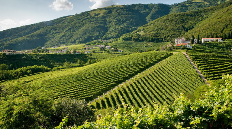 Vigneti Le Rive
